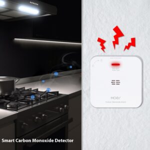 Slimme Koolmonoxidemelder Zigbee 3.0 met Display (2301AZ)