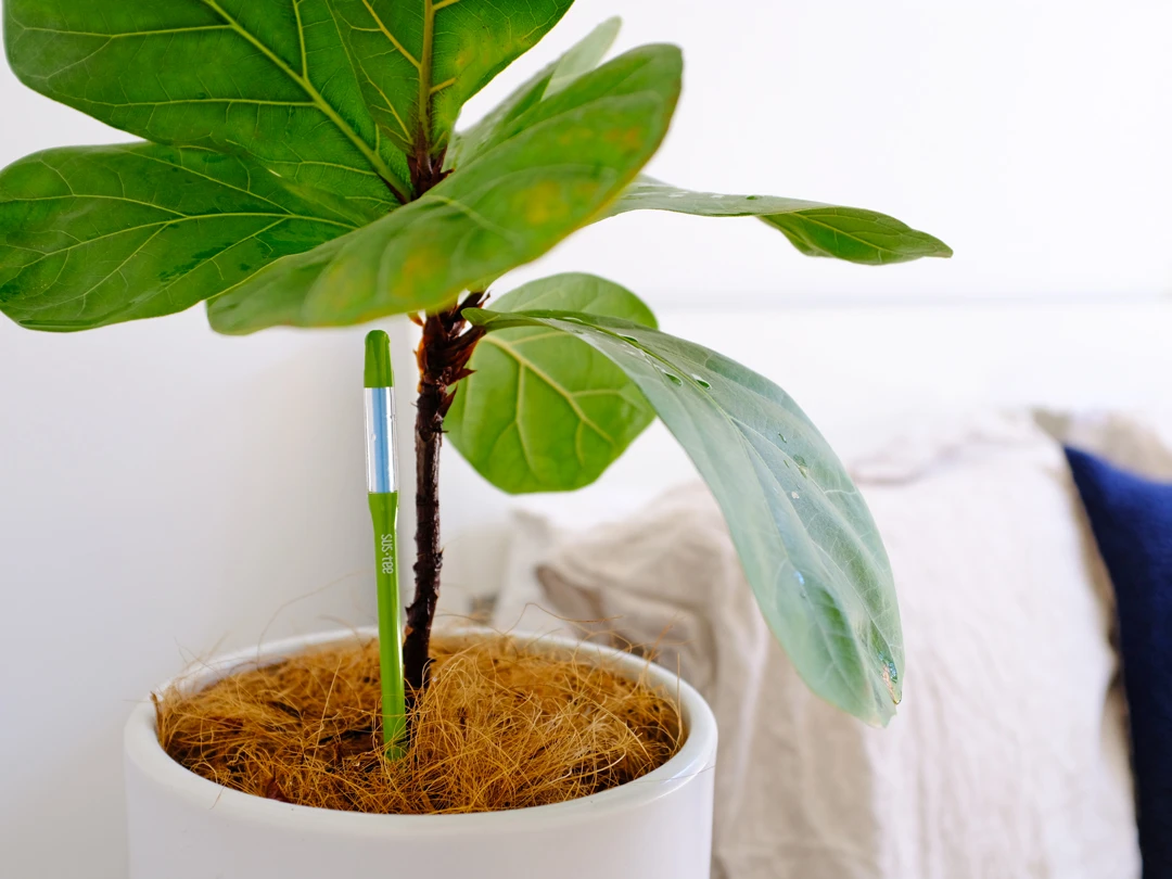 Draadloze Bodemvocht & Temperatuursensor voor Planten (3201AZ) - Image 2